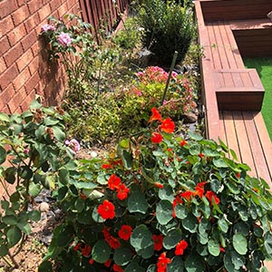 Get landscaping West Melbourne